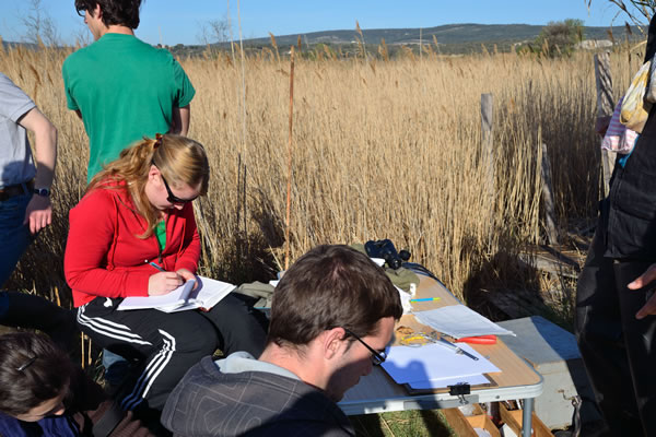 questions sur le master IEGB