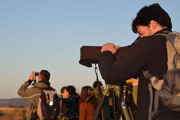 Master gestion de l'environnement