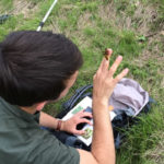 débouchés écologie du master IEGB