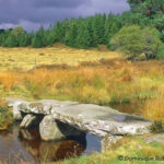 Débouchés professionnels du Master RAINET’