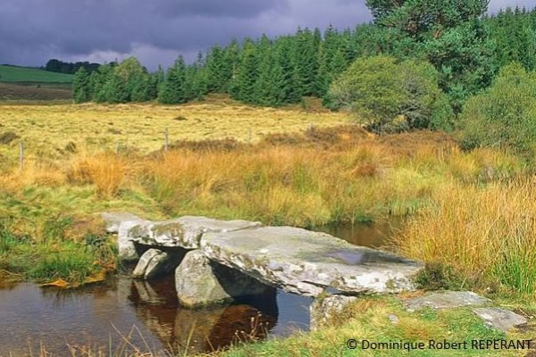 Débouchés professionnels du Master RAINET’
