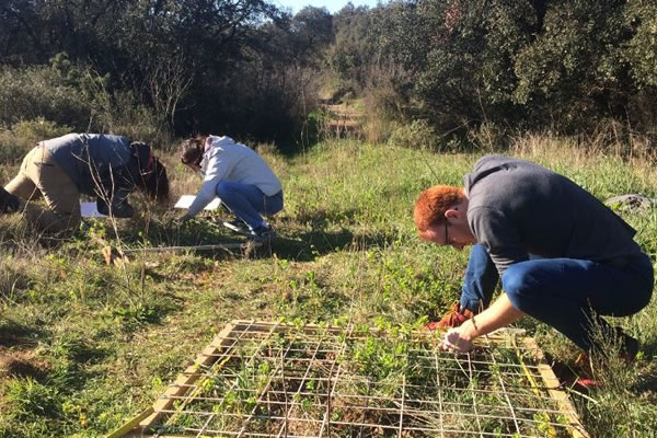 étudiants inventaires floristique