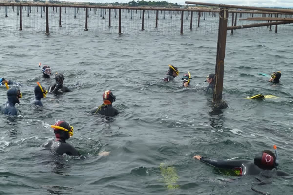 stage master aquadura montpellier