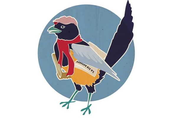 journal naturaliste la pie bavarde