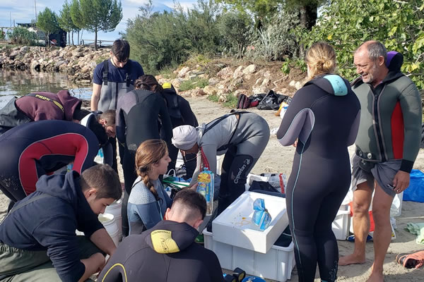 master mts U Montpellier